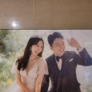 배슬기 카카오 검색결과