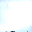 익산공설운동장 | [전북, 익산] (실시간)퓨처스리그 KT위즈 익산야구장 관람후기