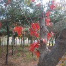 월계약국 이미지