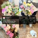 가야카클리닉 | 나트랑꽃집｜THE FEU 내돈내산 수입꽃 나트랑꽃다발 추천ღ