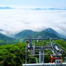 하동케이블카 이미지