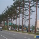 강릉카센타 이미지