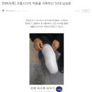 은해보조기 이미지