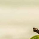 대인한의원 이미지