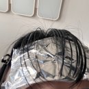 밥앤조토익학원 | 내가 합격할 대학은? 무대