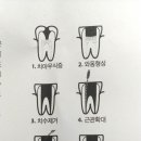 대전로얄플란트치과의원 이미지
