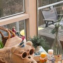 경북대학교 북문 이미지