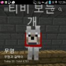 티피마인 네이버블로그