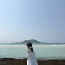 올곧제주 이미지