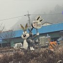 오남2리 이미지