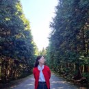 수평목장 이미지