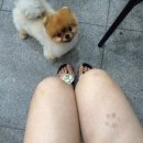 아경기술 이미지
