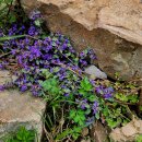 금창초등학교 이미지