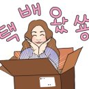 달;보라 이미지