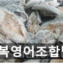 섬전복영어조합법인 이미지