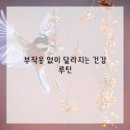 약초활용 생활건강법 이미지