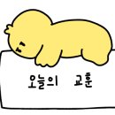 청주출장세차 이미지
