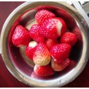 하늘숲캠핑장 이미지