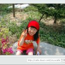 동량초등학교 이미지