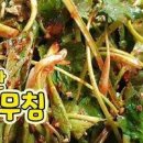 자연산 참나물 (참나물 ) 이미지