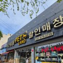 꼬꼬마 강아지 | [강아지 유모차 할인매장]부천 펫랜드 피카고 프리투고2.5 시승후기