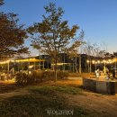 탄금호피크닉공원 2 이미지