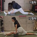한양대 명문 태권도 | 다리찢기 순서( 어떤것부터 시작하면 좋을까요?)