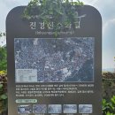 2024-0825-인왕산 안산둘레길 일시완주(인왕산구간)-무악재 하늘다리서 시계방향으로 인왕산둘레길을 하고 다시 무악재하늘다리로 와서 이미지