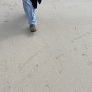 (주)챌린지
