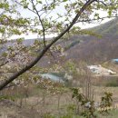 4공주농장 이미지