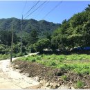 서리산농장 이미지