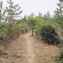 한강대교 북단 주민쉼터 앞 | 코스 진도 쉬미항-백조호수공원-나리방조제-건배산 범바위둘레길-진도대교-해남 우수영국민관광지 여행기록