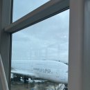 상동읍 약수공원(상동읍-13) | 25주차 임산부의 3박 4일 삿포로 태교여행 ep.1