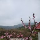 산아래물가에서 이미지