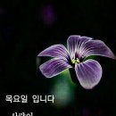 오정동상가 이미지