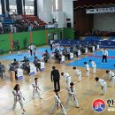 영웅태권도체육관 이미지