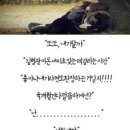 온새미로 이미지