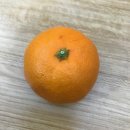 (주)원클랙 이미지