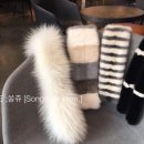 쏭쥬(songe de lilkim) 이미지