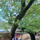 남명 기념관 이미지