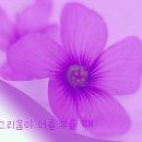 바람맞다. 어원 이미지