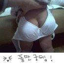 머꼬 이미지