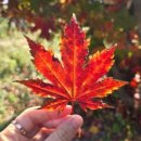 마니또 | [블작]블로그 마니또 후기🩷