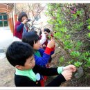 남이초교 병설유치원 이미지