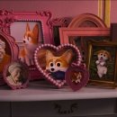 프린스 코기 이미지