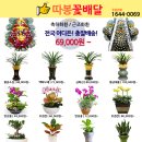 따봉꽃배달