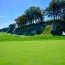 영동 일라이트CC 이미지