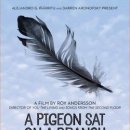 비둘기미용실 이미지