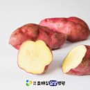 수원요양병원 이미지