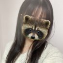 강서구 등촌동 보니따 붙임 머리 헤어에서 인생머리를 하다 (내돈내산 리뷰)
